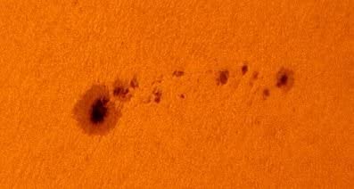 41dcQIGHzjL. AC  - Orion 9822 AstroView Equatorial Telescope Mount