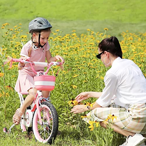 61mfR61CeTL. AC  - RoyalBaby Jenny Kids Bike Girls 12 14 16 18 20 Inch Children's Bicycle with Basket for Age 3-12 Years