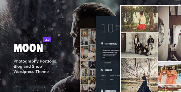 1662871031 81 preview.  large preview - Moon - Photography Portfolio Theme for WordPress