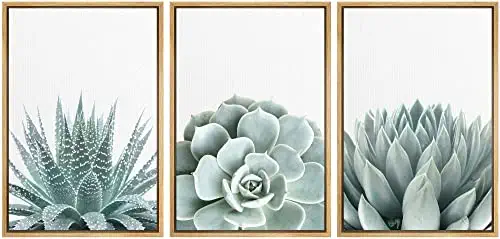 41eJEP+QXtL. AC  - wall26 Framed Wall Art Print Set Green Succulent and Cactus Variety Wilderness Nature Illustrations Modern Art Rustic Closeup Colorful for Living Room, Bedroom, Office - 16"x24"x3 Natural