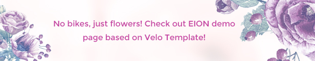 eion banner - Velo - Bike Store Responsive Business Theme