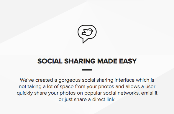 social sharing - Moon - Photography Portfolio Theme for WordPress