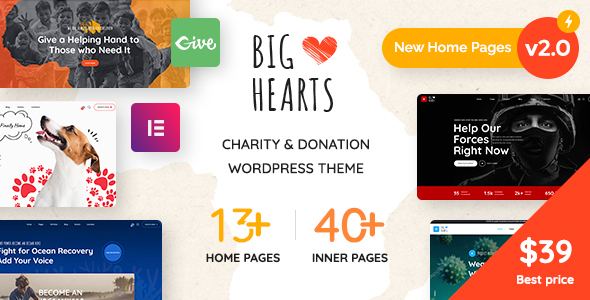 1665339586 317 01 preview.  large preview - BigHearts - Charity & Donation WordPress Theme
