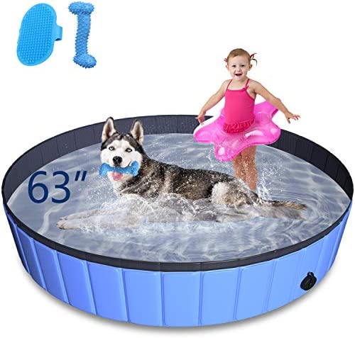 51idNfjJQOL. AC  - TNELTUEB Pet Swimming Pool for Large Dogs, 63"x12" Collapsible Dog Pool with Pet Brush Dog Chew Toy, Foldable Kiddie Pool Plastic Pet Bathing Tub, Outdoor Swimming Pool for Kids and Dogs Cats - Blue