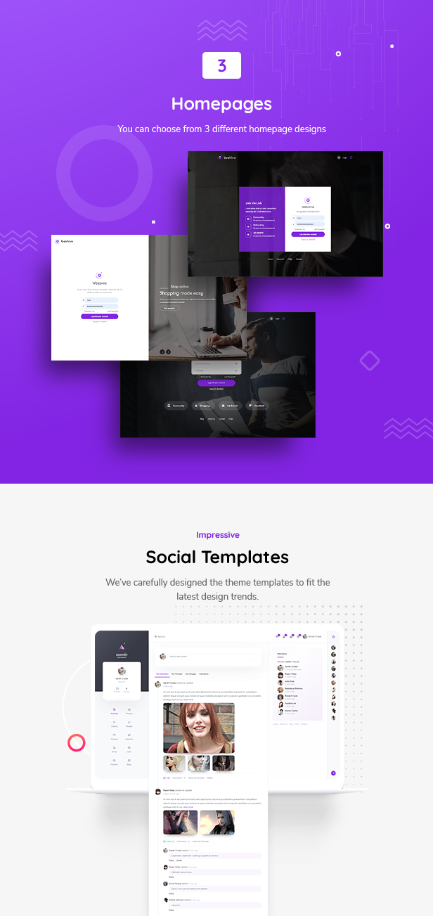 overview 4 - Beehive - Social Network WordPress Theme