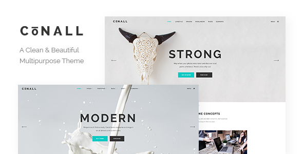 00 preview.  large preview - Conall - Clean Multipurpose Theme