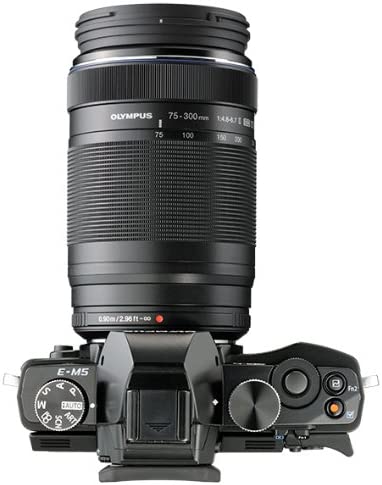 41ytK2p51eL. AC  - OLYMPUS M.Zuiko Digital ED 75 to 300mm II F4.8-6.7 Zoom Lens, for Micro Four Thirds Cameras
