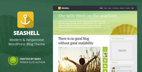 01 seashell.  large preview - Epsilon - Hosting and Business Template