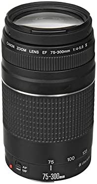 1672066502 41kqWiQqeXL. AC  - Canon EF 75-300mm f/4-5.6 III Telephoto Zoom Lens for Canon SLR Cameras