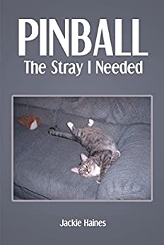 41 6H4LK2uL. SY346  - Pinball: The Stray I Needed