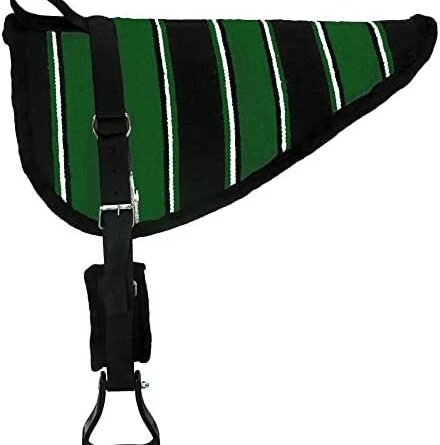 1672802883 41PJcqeD7wL. AC  440x445 - W Enterprises Navajo Handle Bareback Horse Saddle Pad; Include Free Girth & Stirrups. Pad Size 30 Inches Length ; 33 Inches at The widest ; Girth Size 1 Inch Thick & 4 x 34 Inches Long (D Green 1)