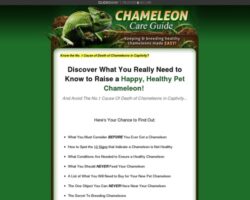 chameguide x400 thumb 250x200 - Spanish Olive Trick Supports Your Dog&#x27;s Healthy Gut