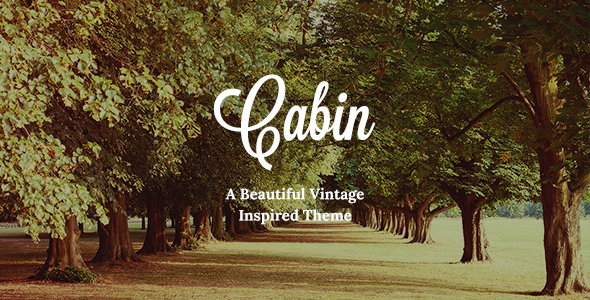 1675995139 554 00 preview.  large preview - Cabin - Beautiful Vintage Theme