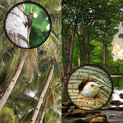 61gQETMk6oL. AC  - 16x52 Monocular Dual Focus Optics Zoom Telescope for Birds Watching/Wildlife/Hunting/Camping/Hiking/Tourism/Armoring/Living Concert 66m/8000m
