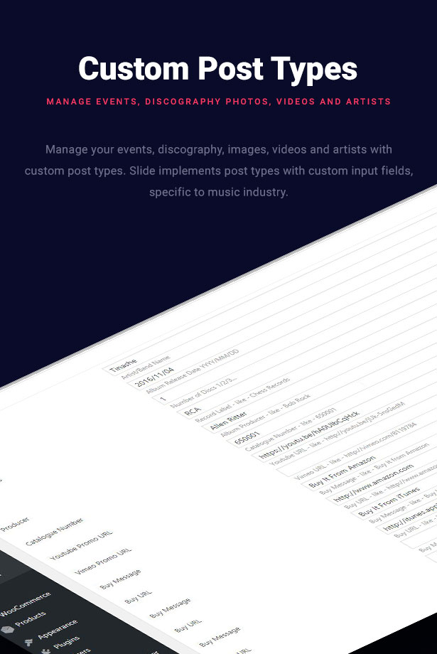 10 - Slide - Music WordPress Theme