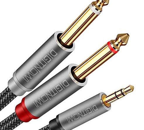 1678607623 41AJLzNNw3L 493x445 - DIGITNOW 3.5mm 1/8" TRS to Dual 6.35mm 1/4" TS Mono Stereo Y-Cable Splitter Cord for Smartphone, Computer, CD Player, Speakers and Home Systems Amplifier, 6.6Ft