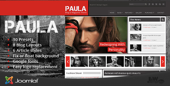 1 preview.  large preview - Paula - Blog & Magazine Joomla Theme