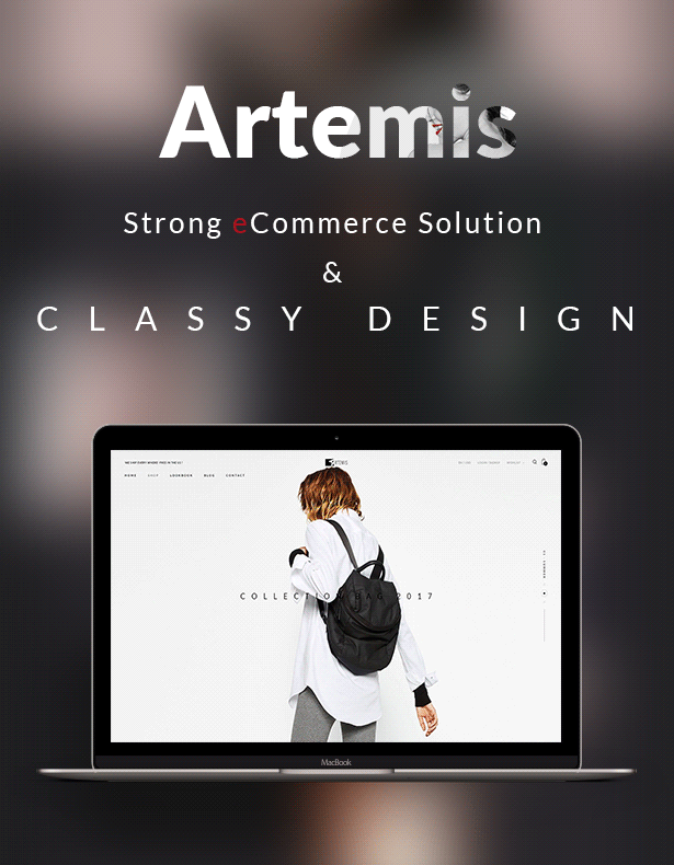 24 1 - Artemis | Multi-purpose WooCommerce WordPress Theme