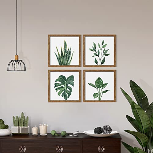 41jRg0CF9zL. AC  - ArtbyHannah 10x10 Inch 4 Panels Botanical Framed Walnut Picture Frame Collage Set for Wall Art Décor with Watercolor Green Leaf Tropical Plant Square Frame for Gallery Wall Kit or Home Decoration