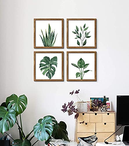 511wTCJAyUS. AC  - ArtbyHannah 10x10 Inch 4 Panels Botanical Framed Walnut Picture Frame Collage Set for Wall Art Décor with Watercolor Green Leaf Tropical Plant Square Frame for Gallery Wall Kit or Home Decoration