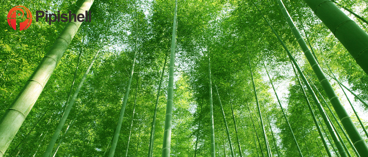 BAMBOO