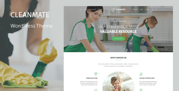 CleanMate – Cleaning WordPress Theme