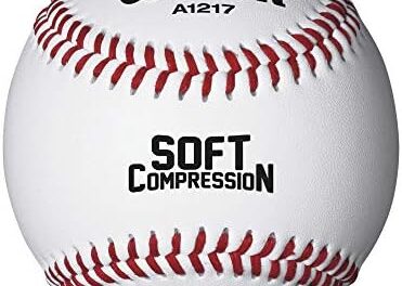 WILSON Sporting Goods Practice and Soft Compression Baseballs, A1217, FS (One Dozen), white