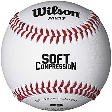 WILSON Sporting Goods Practice and Soft Compression Baseballs, A1217, FS (One Dozen), white