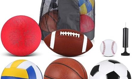 Libima 6 Pcs Multi Sport Ball Set Official Size Football, Basketball, Soccer, Volleyball, Playground Ball, Baseball with Sports Equipment Bag Pump for Kid Teen Adult