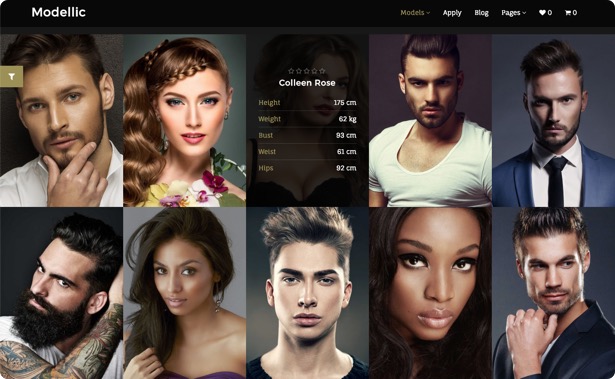 Modellic. Model Agency WordPress Theme