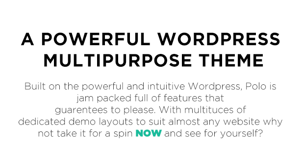 A Powerful WORDPRESS Multipurpose THEME Polo