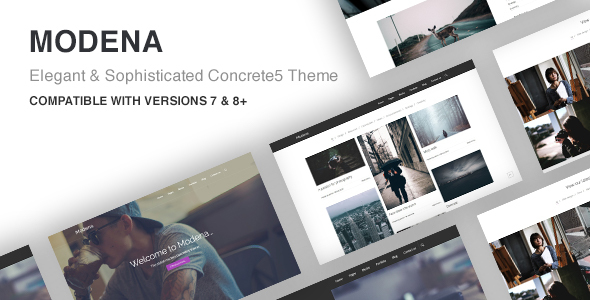 Modena Multi-purpose Concrete5 Theme