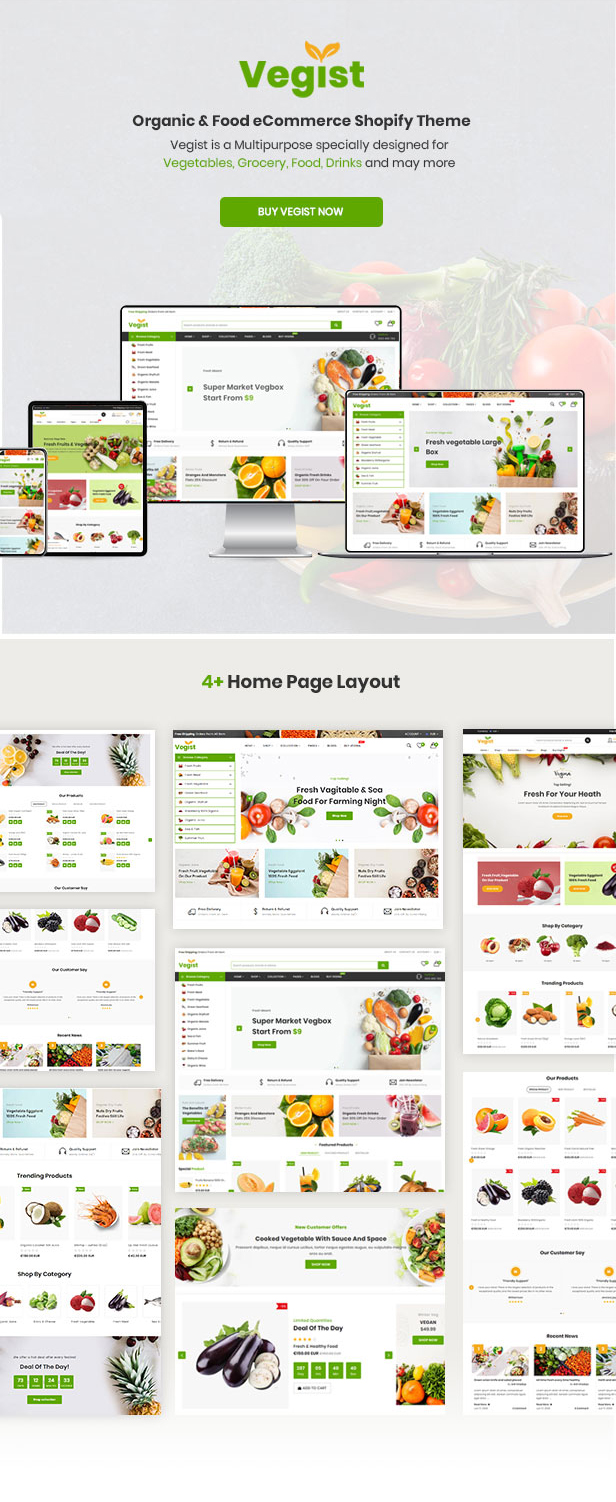 Vegist - The  Vegetables, Supermarket & Organic Food eCommerce Shopify Theme - 14