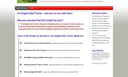 Learning To Live With An English Bull Terrier from Puppy To Adult