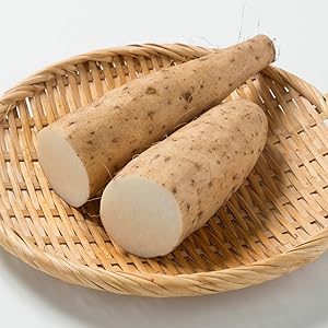 wild yam increased estrogen levels bust enhancement