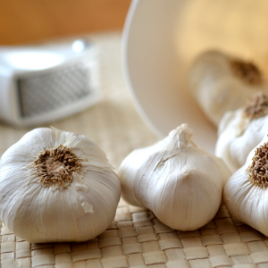 Garlic