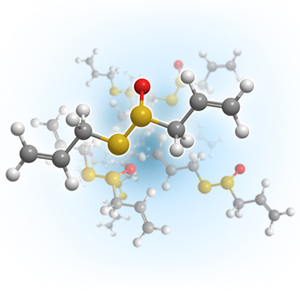 Molecule