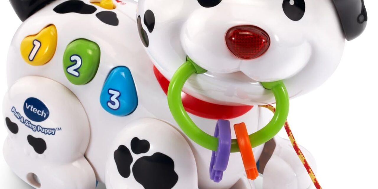 VTech Pull and Sing Puppy